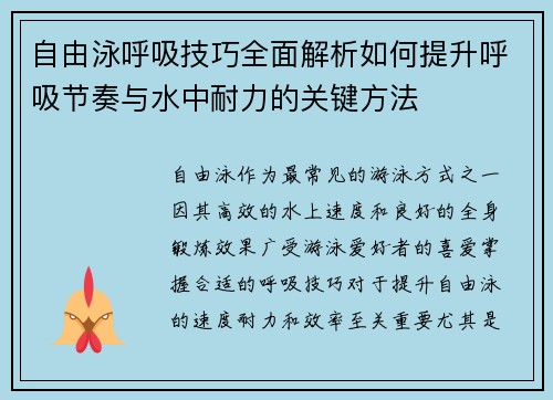 自由泳呼吸技巧全面解析如何提升呼吸节奏与水中耐力的关键方法